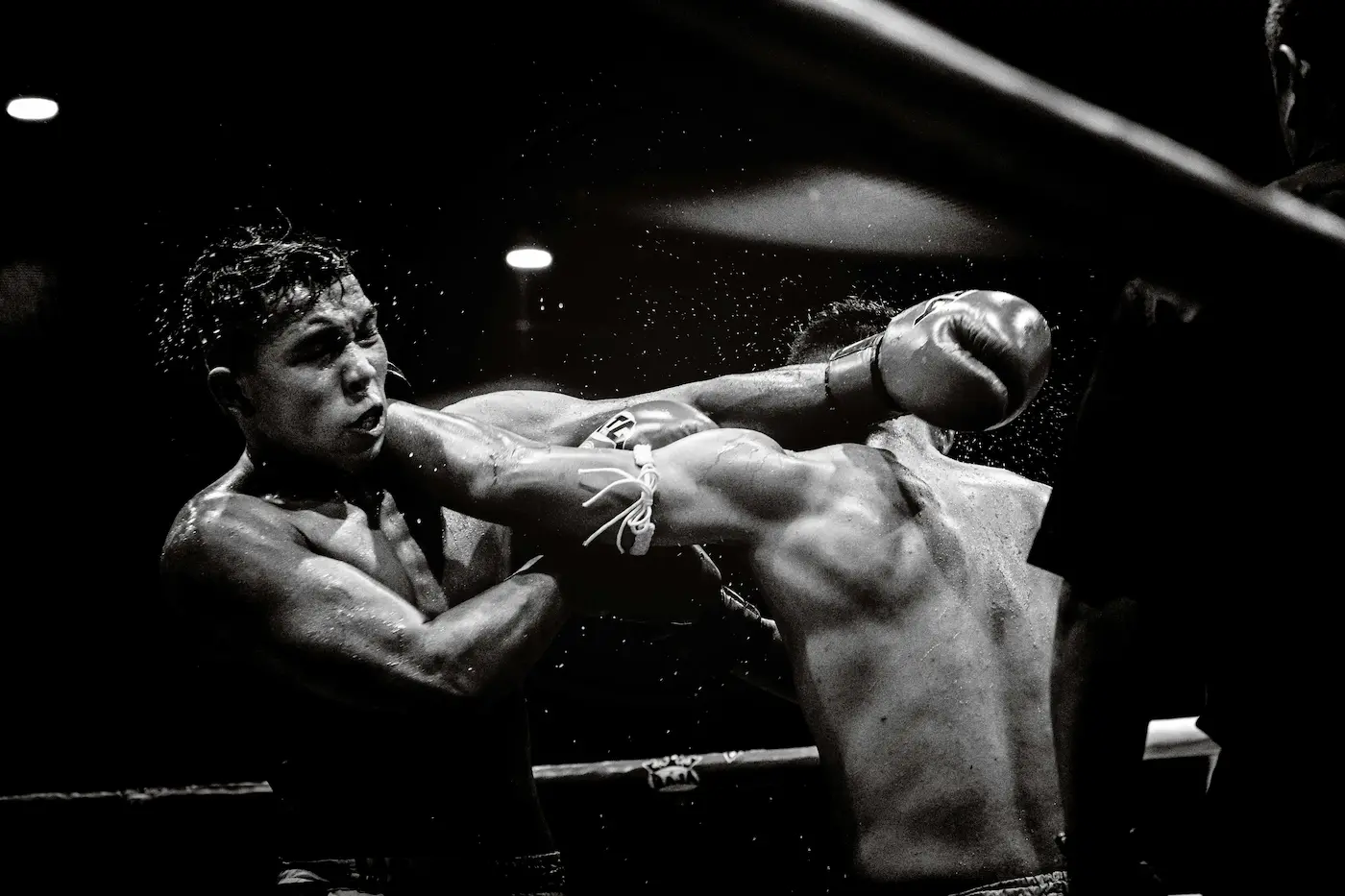 Immagine Boxing Fighter's Varese