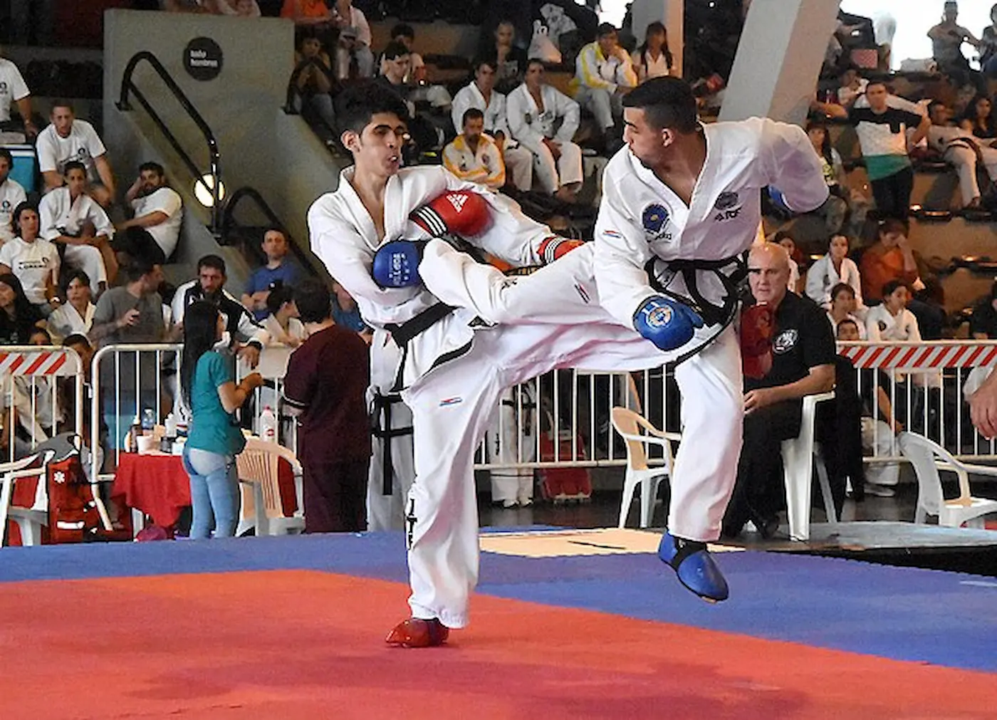 Foto di Taekwondo Lugano Arti Marziali